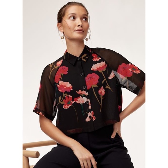 Aritzia Tops - 🛍 Aritzia Wilfred Black Floral Henrietta Crop Top